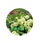 kinko-photo10（個別スタンプ：16）