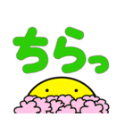 ぴよよ でか文字（個別スタンプ：25）