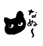 黒猫 チッカ（個別スタンプ：11）