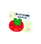 chibitomatoがデカスタンプになっちゃった（個別スタンプ：2）