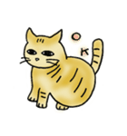 ツンデレな猫（個別スタンプ：5）