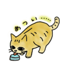 ツンデレな猫（個別スタンプ：6）