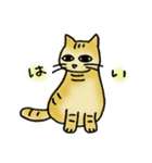 ツンデレな猫（個別スタンプ：11）