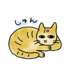 ツンデレな猫（個別スタンプ：16）