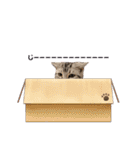 ウチらのねる坊スタンプ（個別スタンプ：12）