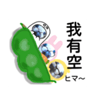 びーちゃんとみわちゃん【中国語2】（個別スタンプ：23）