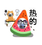 びーちゃんとみわちゃん【中国語2】（個別スタンプ：25）
