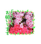 アマゴン1956（個別スタンプ：2）