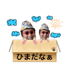 みんなだいすきはたおスタンプ（個別スタンプ：12）