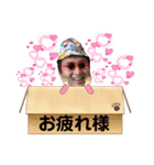 みんなだいすきはたおスタンプ（個別スタンプ：13）