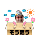 みんなだいすきはたおスタンプ（個別スタンプ：14）