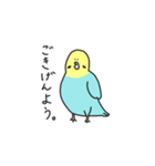 高貴なインコ（個別スタンプ：1）