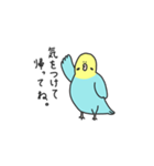 高貴なインコ（個別スタンプ：5）