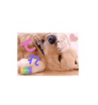 びすけ物語ゴールデンレトリバー／megu04（個別スタンプ：15）