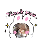うさぎのめいたろう2（個別スタンプ：4）