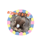 うさぎのめいたろう2（個別スタンプ：8）