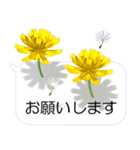 スマホの上の花と風《Ver. 07》（個別スタンプ：5）