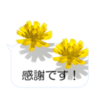 スマホの上の花と風《Ver. 07》（個別スタンプ：7）