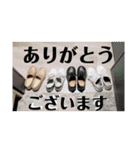 幸せは日常にありふれている！写真たちver.（個別スタンプ：7）