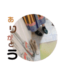 幸せは日常にありふれている！写真たちver.（個別スタンプ：9）