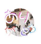 幸せは日常にありふれている！写真たちver.（個別スタンプ：11）