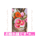 幸せは日常にありふれている！写真たちver.（個別スタンプ：15）