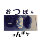 幸せは日常にありふれている！写真たちver.（個別スタンプ：16）