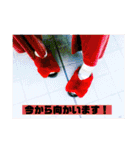 幸せは日常にありふれている！写真たちver.（個別スタンプ：29）