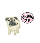 パグの刺繍のスタンプ（個別スタンプ：2）