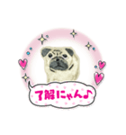 パグの刺繍のスタンプ（個別スタンプ：5）