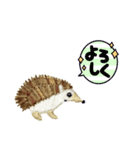ハリネズミの刺繍スタンプ（個別スタンプ：3）