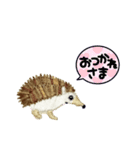 ハリネズミの刺繍スタンプ（個別スタンプ：4）
