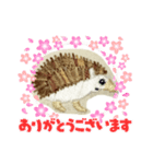 ハリネズミの刺繍スタンプ（個別スタンプ：8）