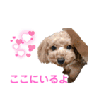 おぷちゃで使えるスタンプ(ペット編)3（個別スタンプ：10）