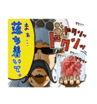 ONE PIECE スタンプ【LAW】（個別スタンプ：12）