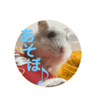 まめすた第3弾（個別スタンプ：3）
