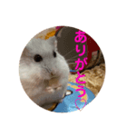 まめすた第3弾（個別スタンプ：4）