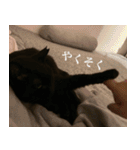 猫のもく2（個別スタンプ：23）