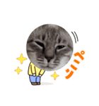 シャムトラたろう♡（個別スタンプ：8）