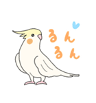 オカメインコの日常2（個別スタンプ：13）