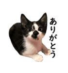とぅんのとと2（個別スタンプ：1）