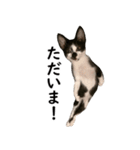 とぅんのとと2（個別スタンプ：3）