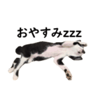 とぅんのとと2（個別スタンプ：4）