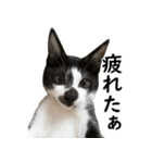 とぅんのとと2（個別スタンプ：5）