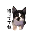 とぅんのとと2（個別スタンプ：6）