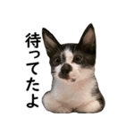 とぅんのとと2（個別スタンプ：7）