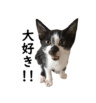 とぅんのとと2（個別スタンプ：9）