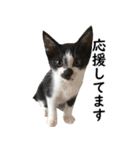 とぅんのとと2（個別スタンプ：10）