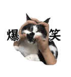 とぅんのとと2（個別スタンプ：15）