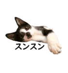 とぅんのとと2（個別スタンプ：16）